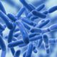 BIOTECHNOLOGY DEVELOPMENT FOR INDUSTRY IN PHARMACEUTICALS SL.