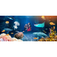 SEA LIFE DEUTSCHLAND GMBH