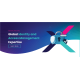 XALIENT HOLDINGS LIMITED