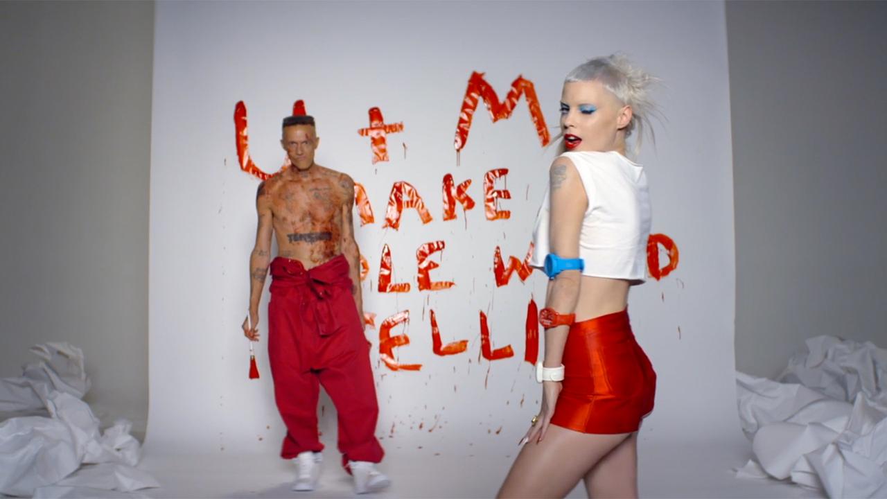 Die Antwoord