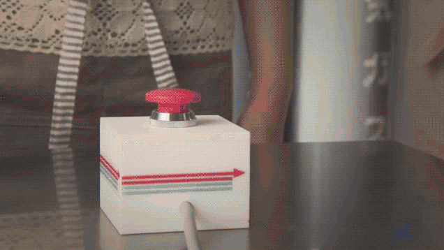 Rocket Shrimp Science GIF