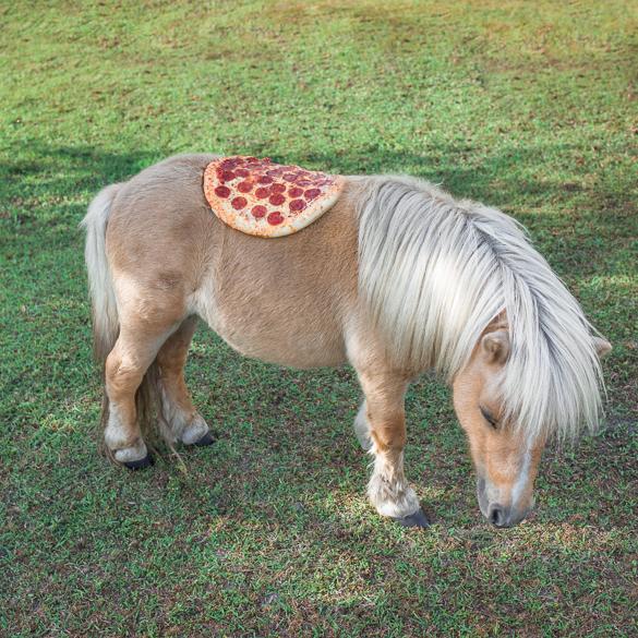 pizzainthewild4