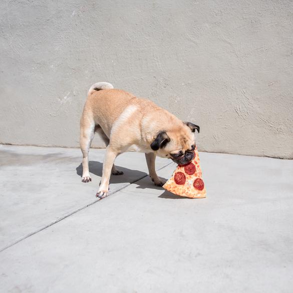 pizzainthewild8