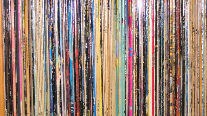 Vinyl Sleeves