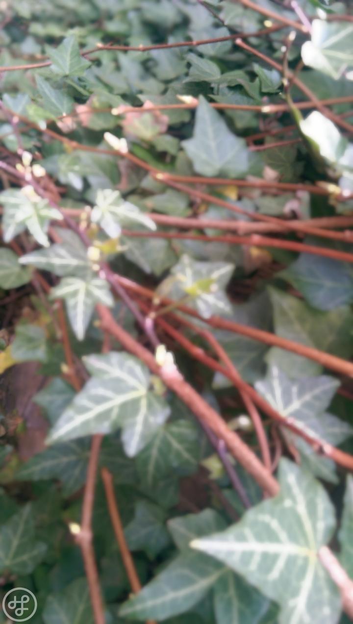 HTC One M8 Unfocus 1