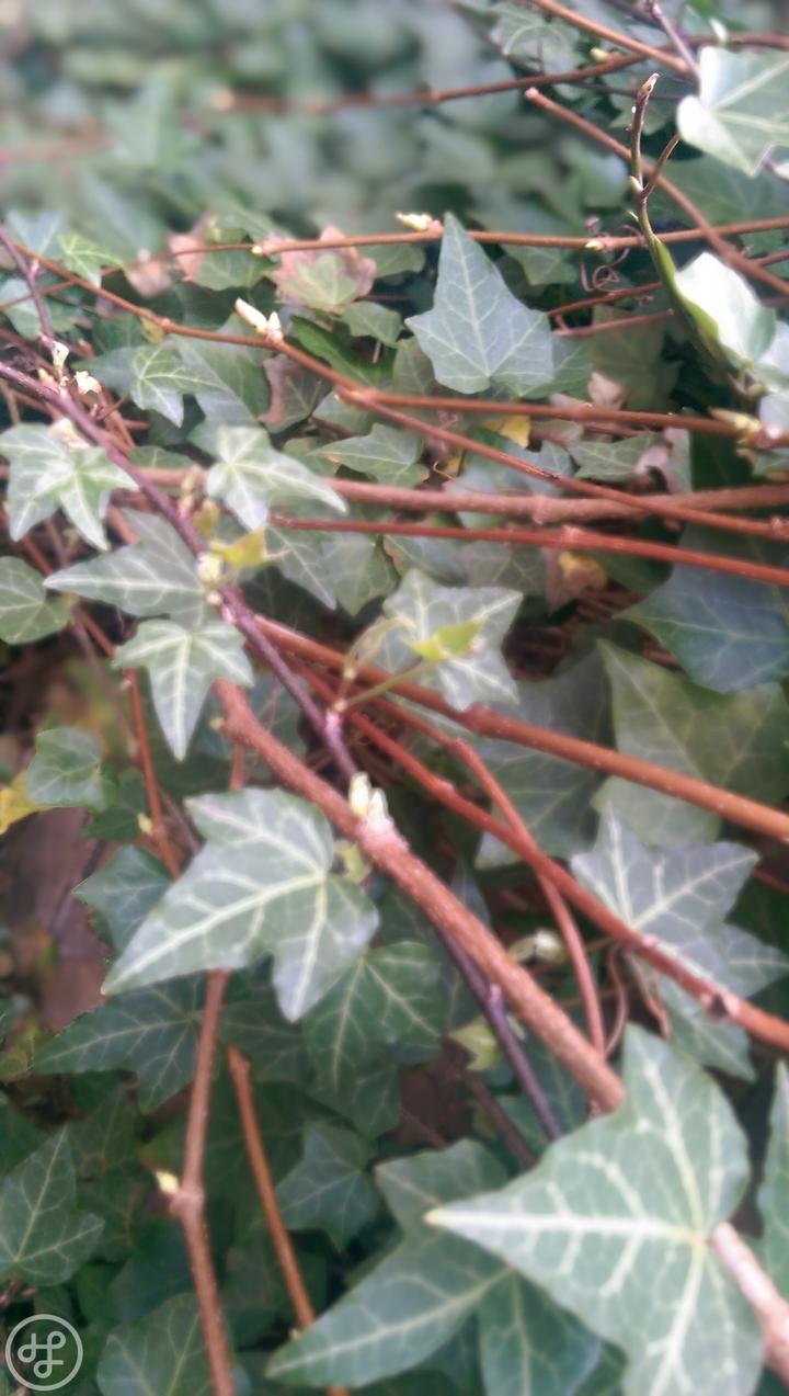 HTC One M8 Unfocus 2