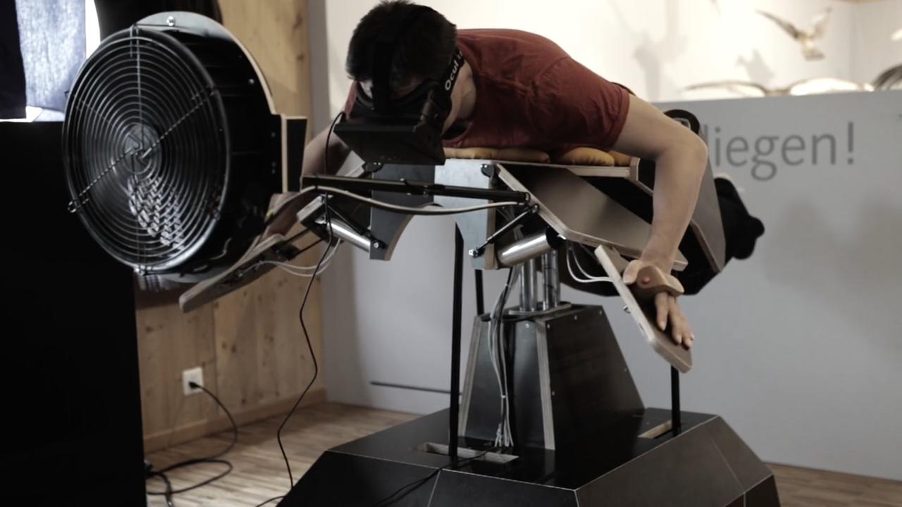 Birdly