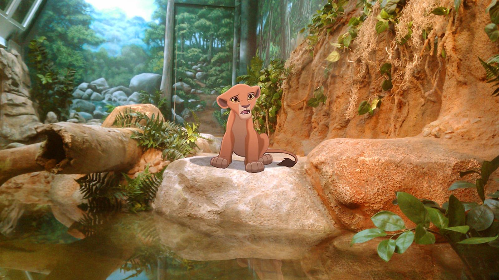Der König der Löwen muss in den Zoo