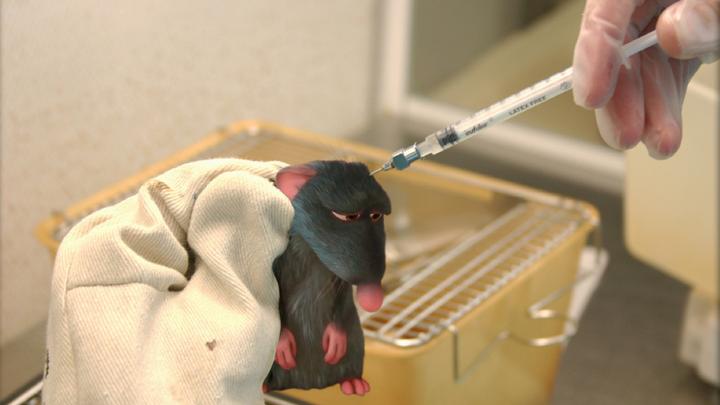 Ratatouille im Labor