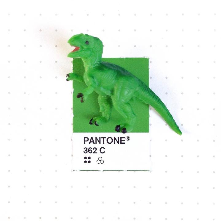 Pantone2