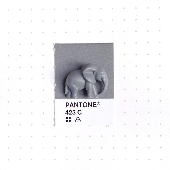 Pantone8
