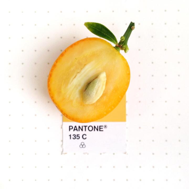Pantone9