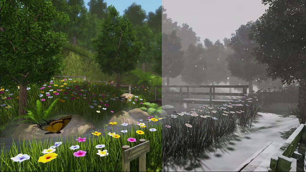 The Forest