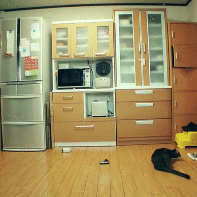 Katze-GIFs vom Katzenhasser der Torwart anigif