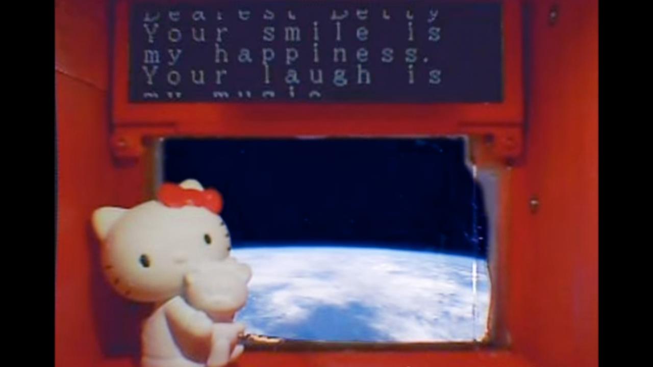 spacecat