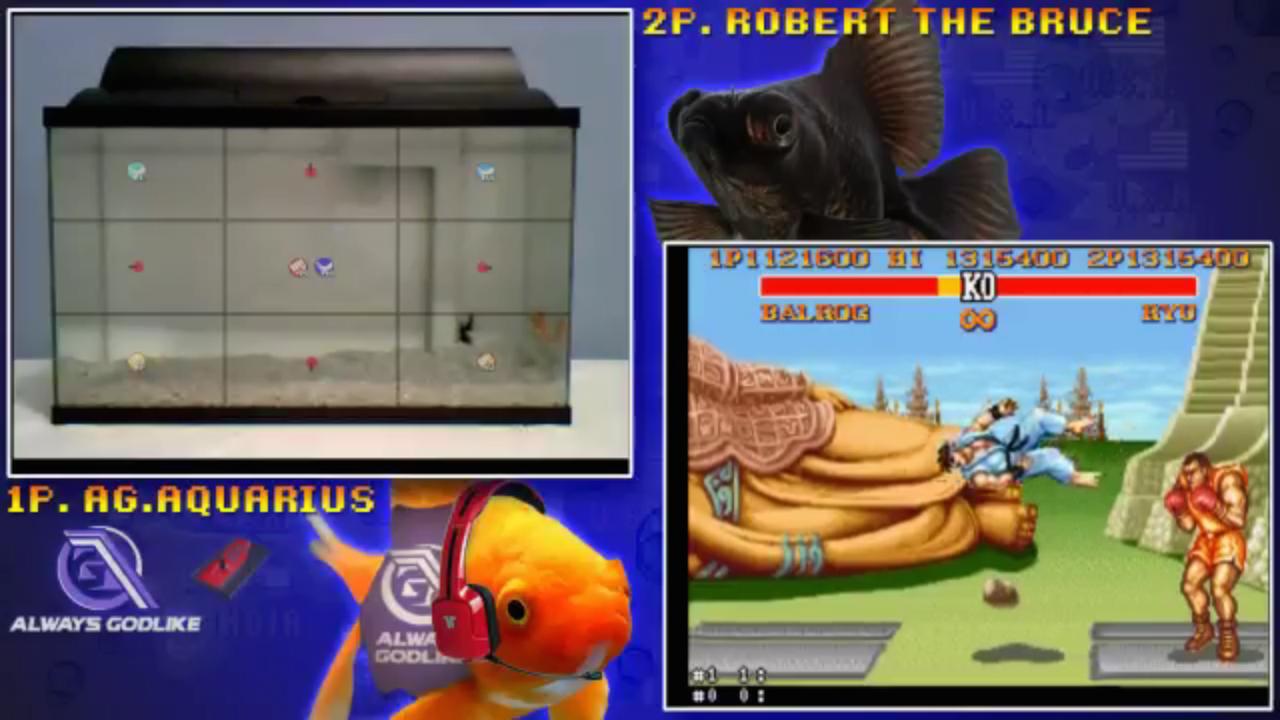 Fish Fighter