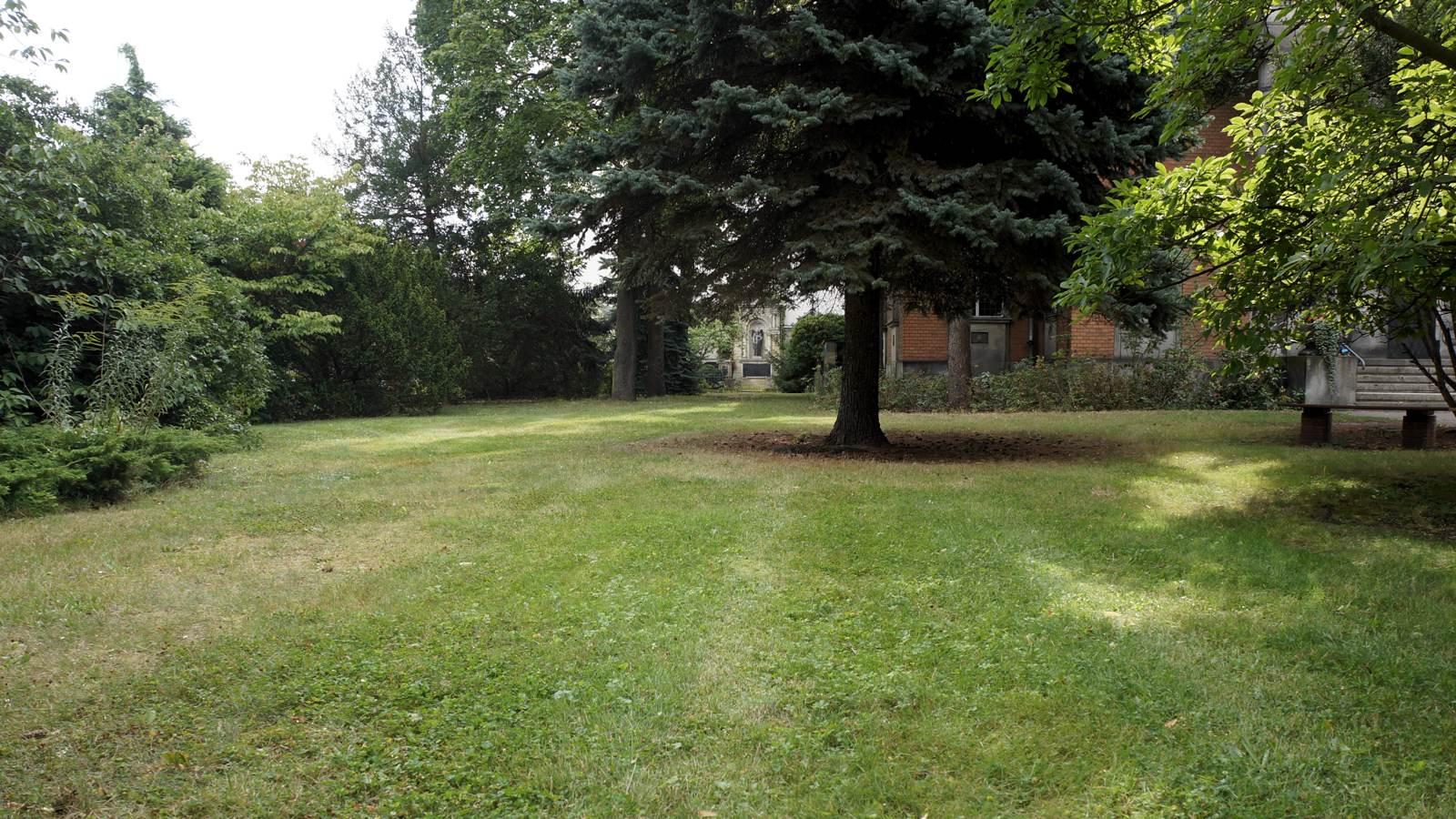 Leben auf dem Friedhof 03