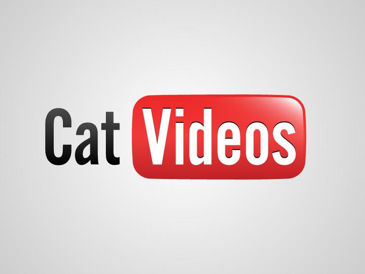 Cat Videos by Viktor Hertz