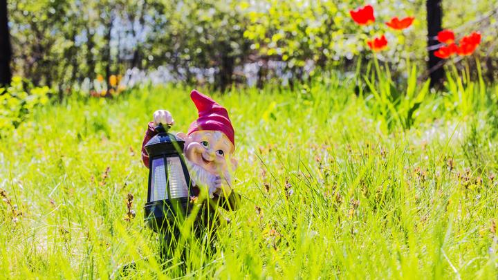 Gartenzwerg