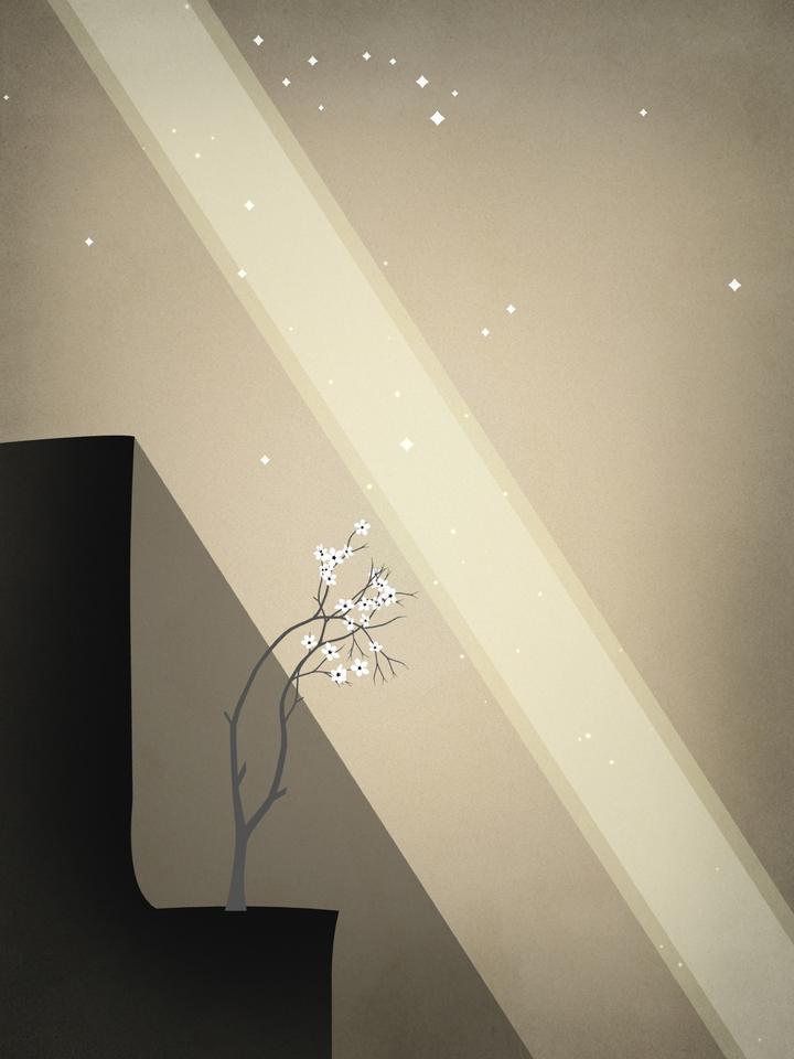 Prune 02