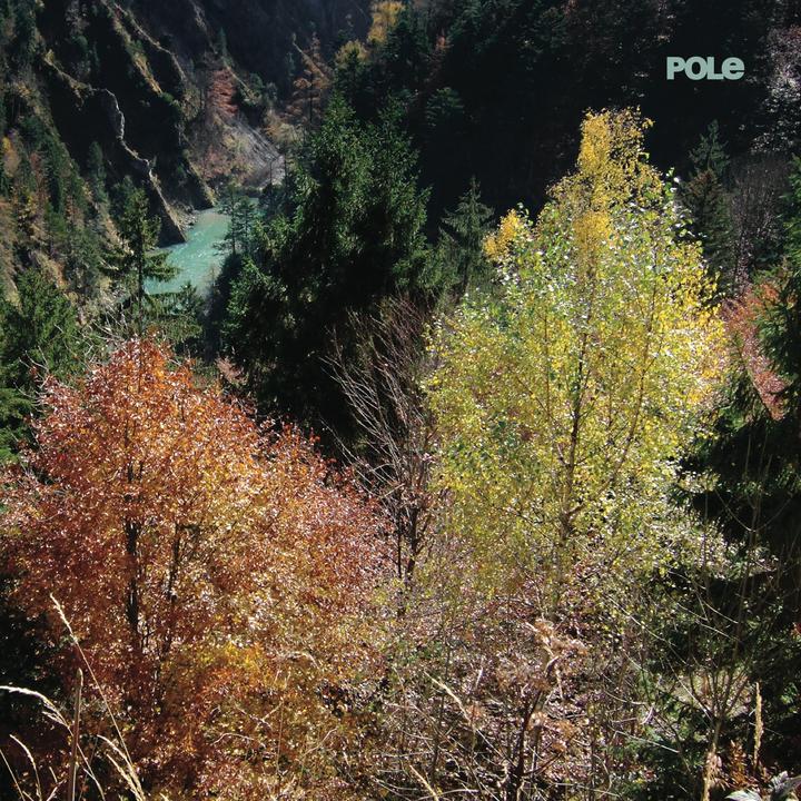 Pole Wald Cover