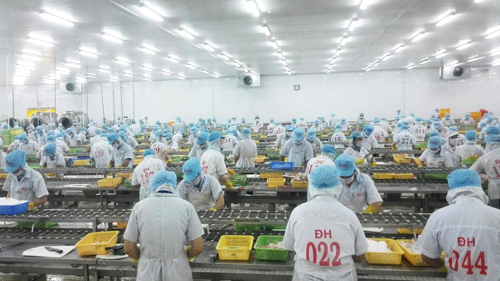 Produktion