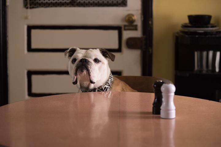 Doggy