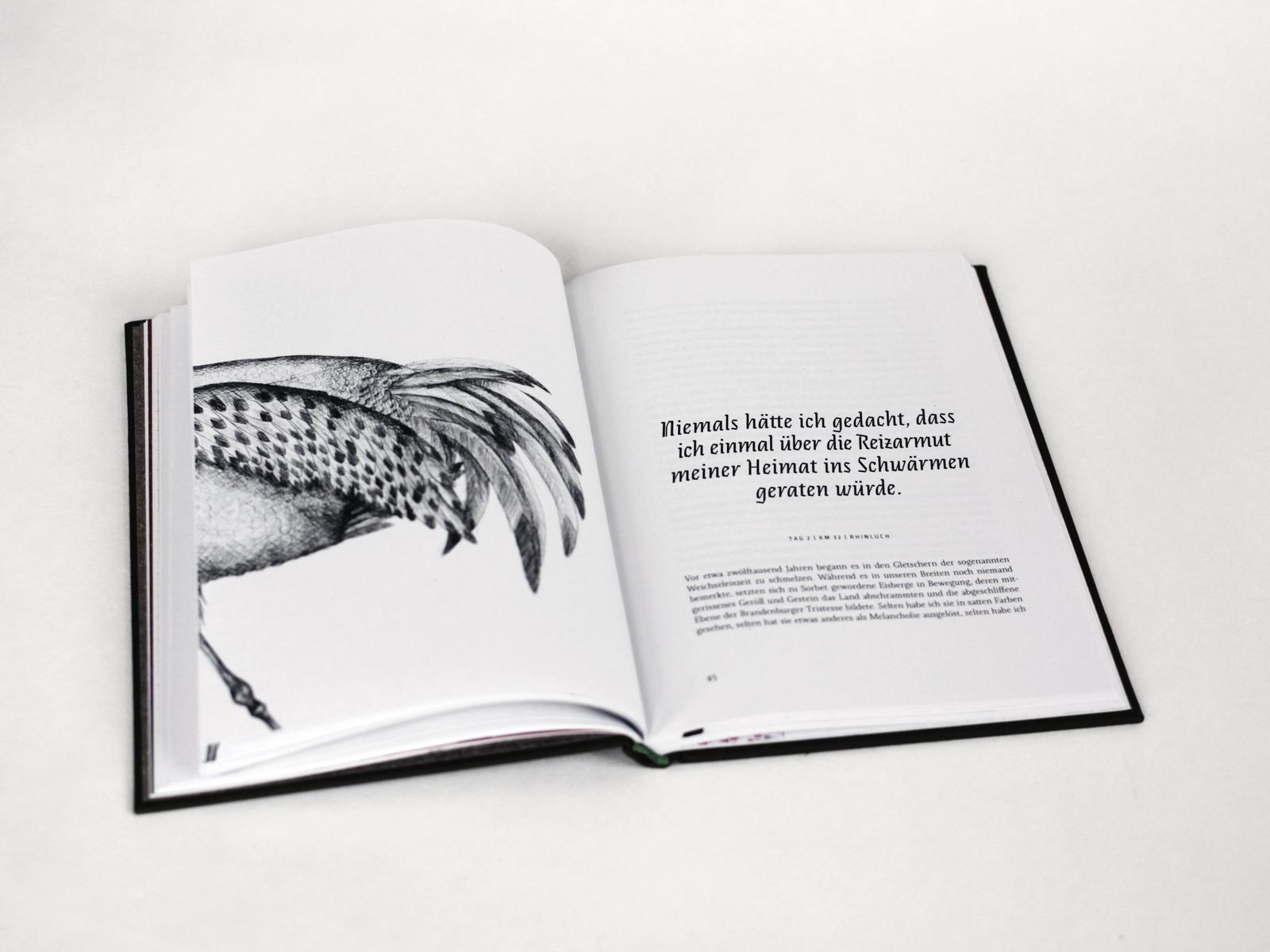 Kein Hawaii Buch 2