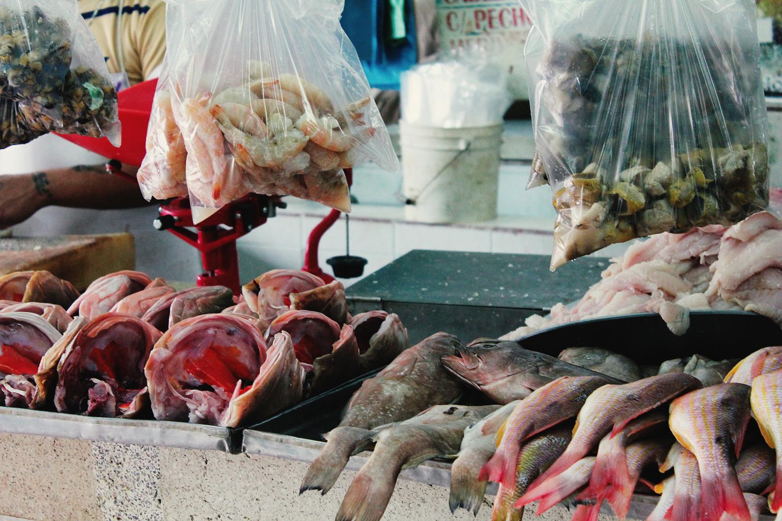 Mexiko Markt Merida Fisch