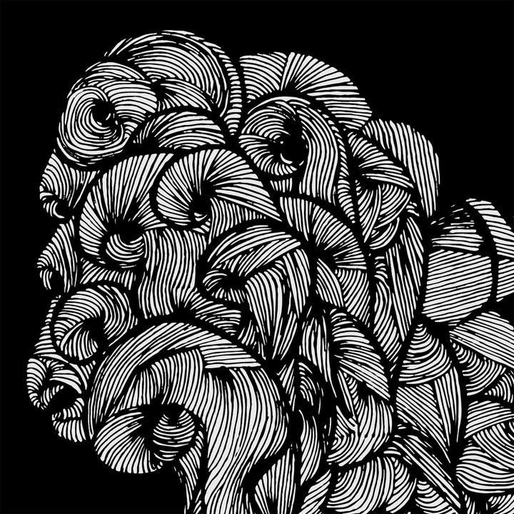 wwalkman-svalbard-cover