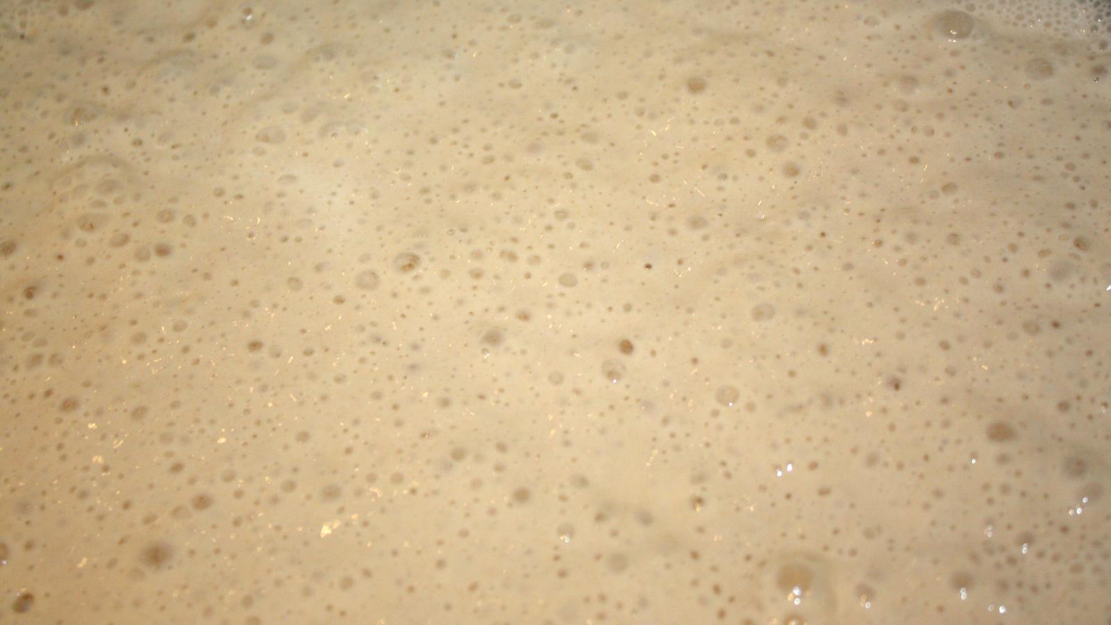 sauerteig