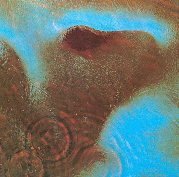 Pink Floyd Meddle