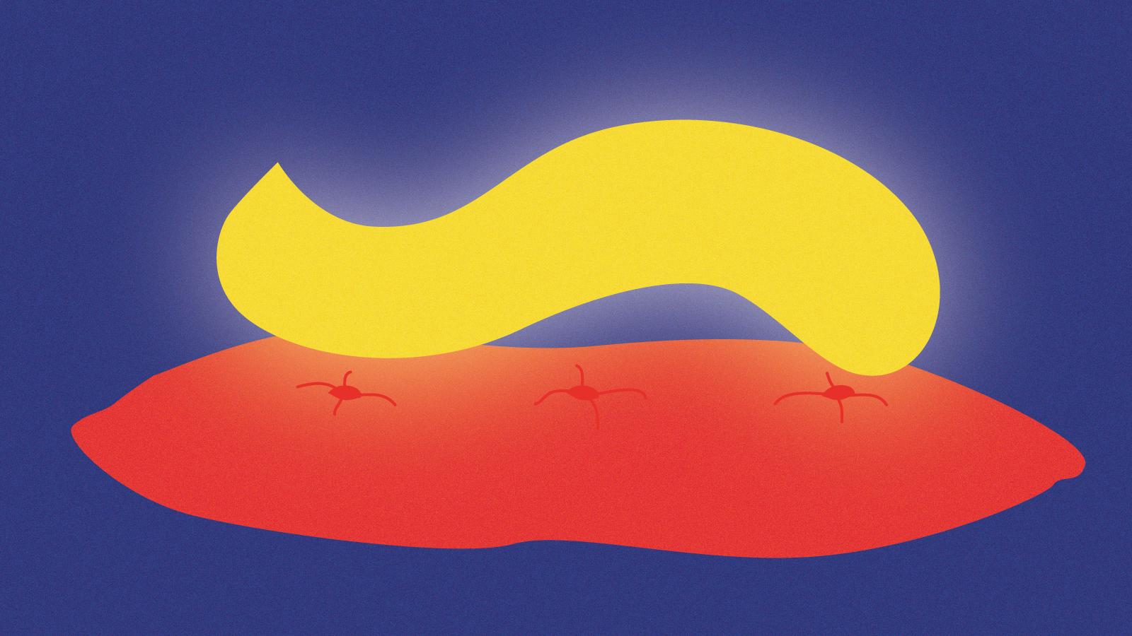 Hängengeblieben 2016 - Illustration Trump