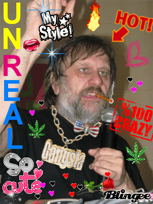 Hängengeblieben 2016 Zizek