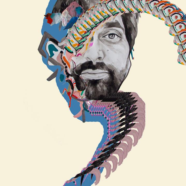 animal collective painting with cover