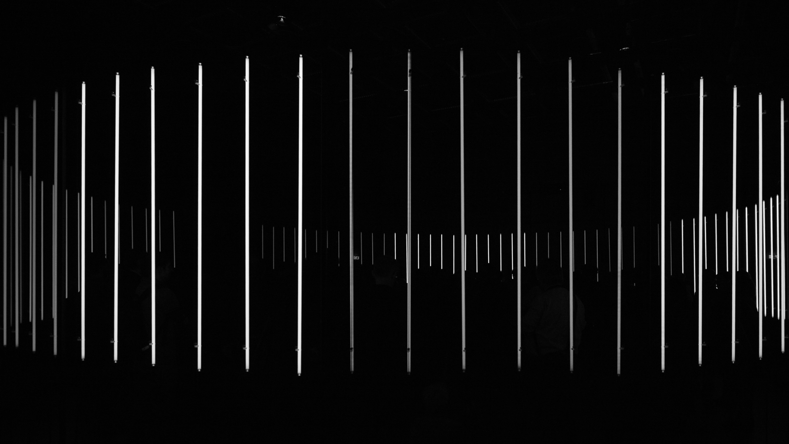 white circle gif