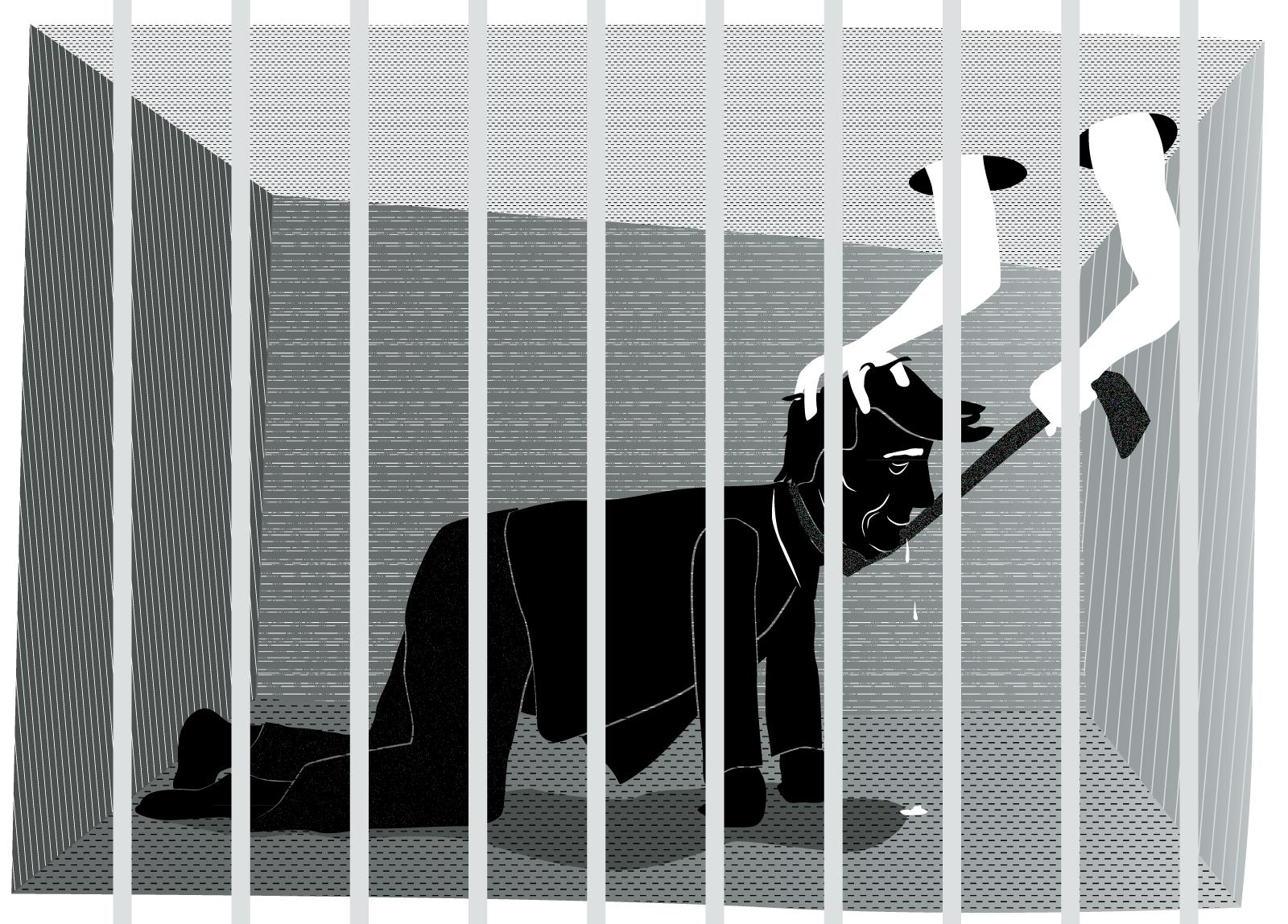 Fragmente einer Großstadt Zu Besuch bei Hunden Full