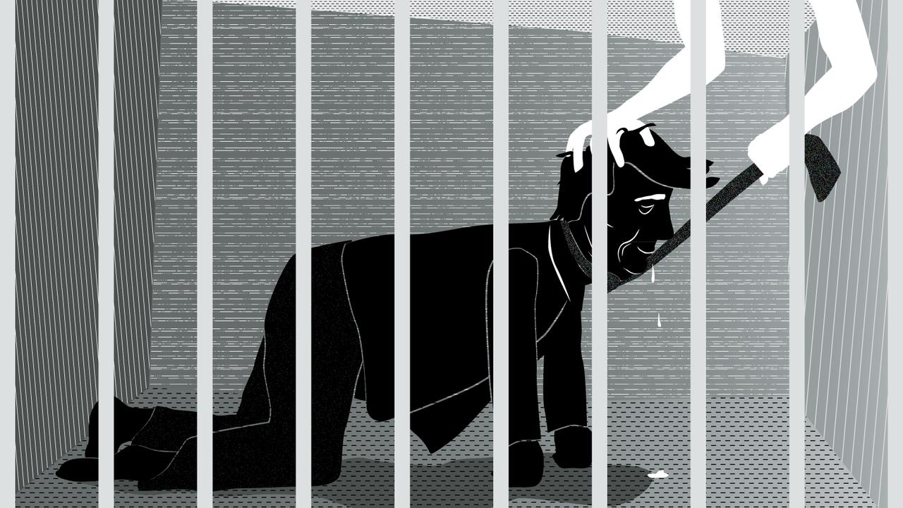 Fragmente einer Großstadt Zu Besuch bei Hunden start