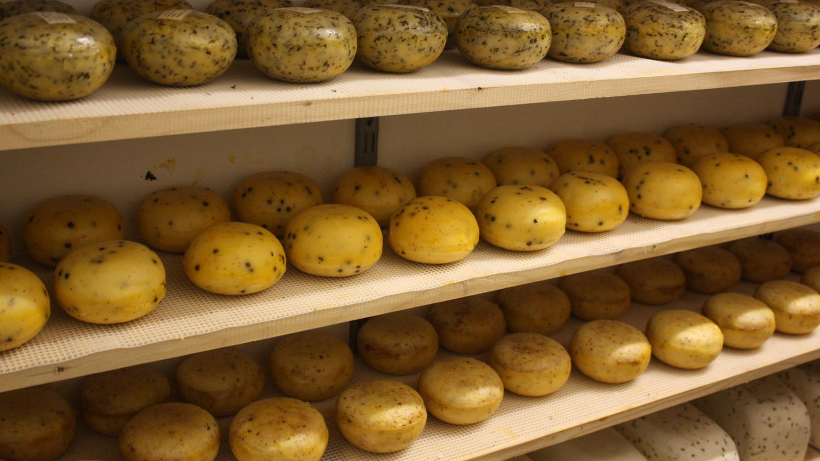 ziegenkäse
