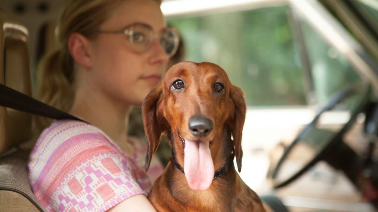 Dog1