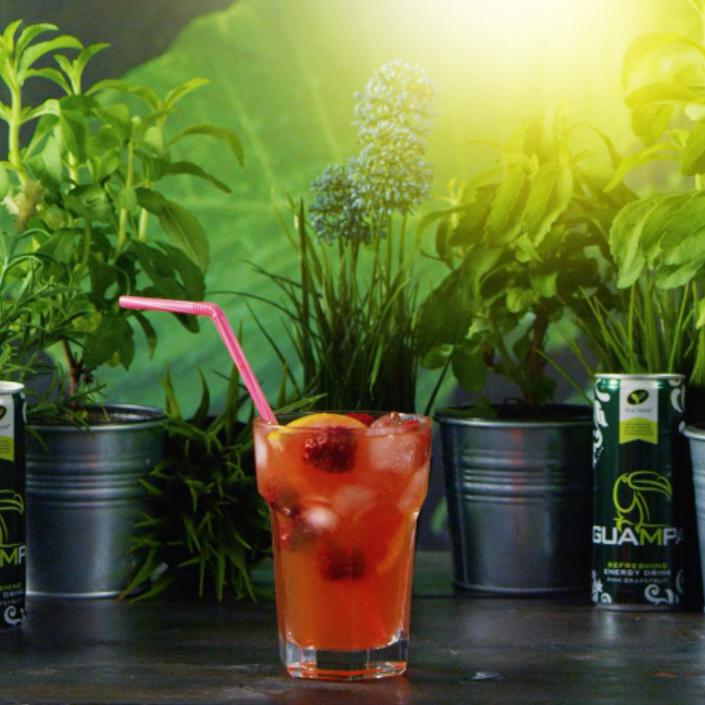 guampa fizz