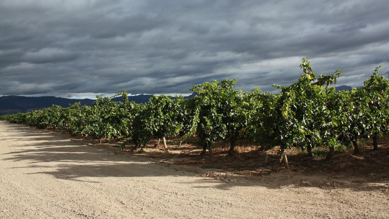 rioja