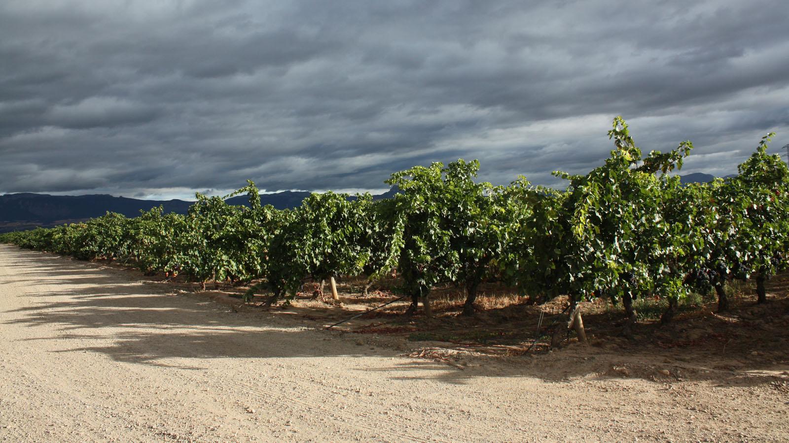 rioja