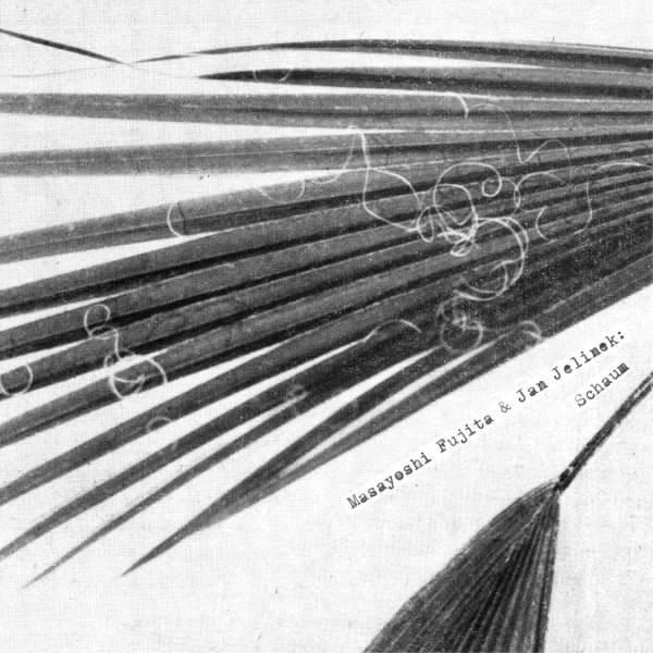 Masayoshi Fujita Jan Jelinek Schaum Cover