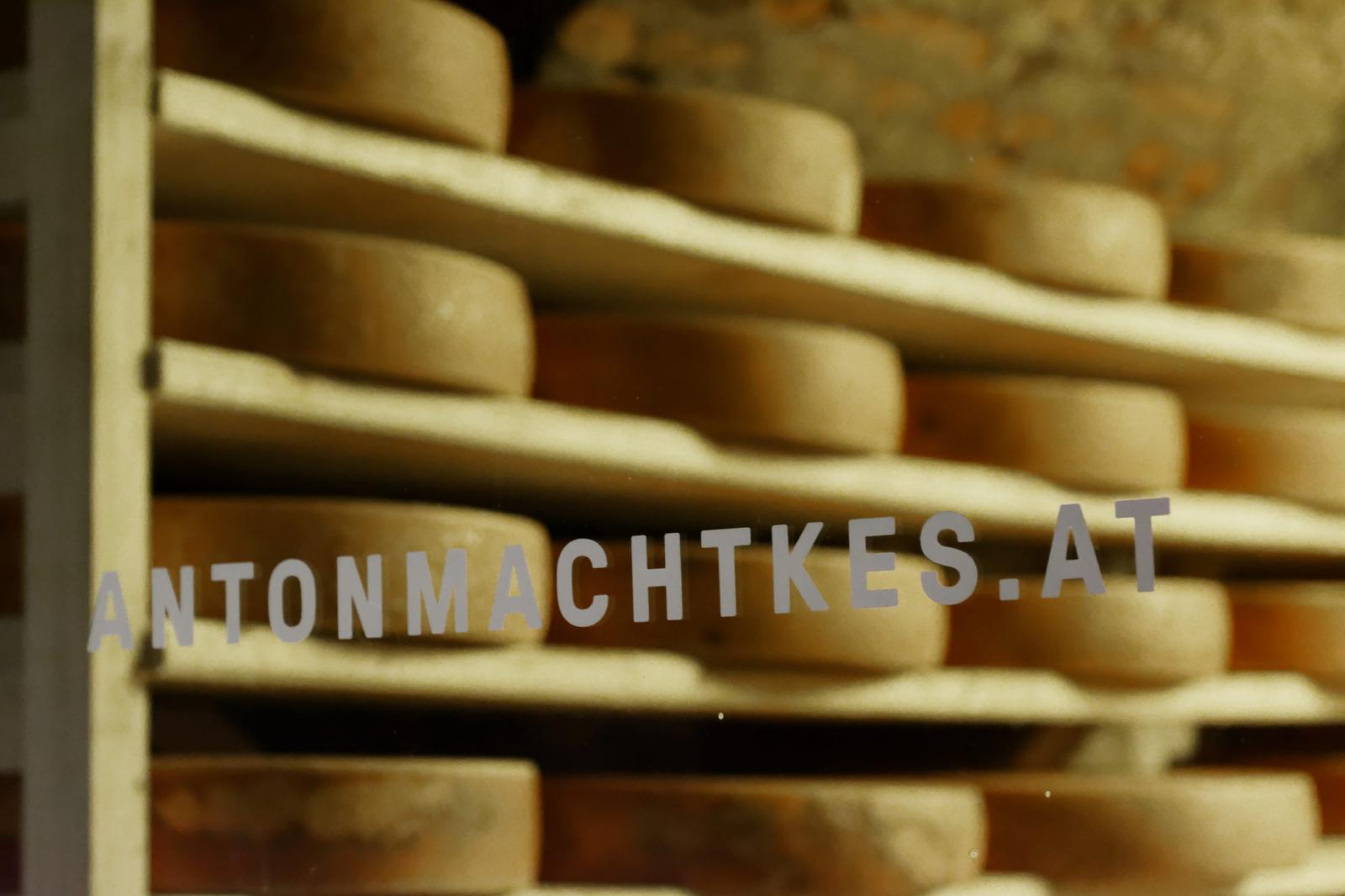 antonmachtkes11