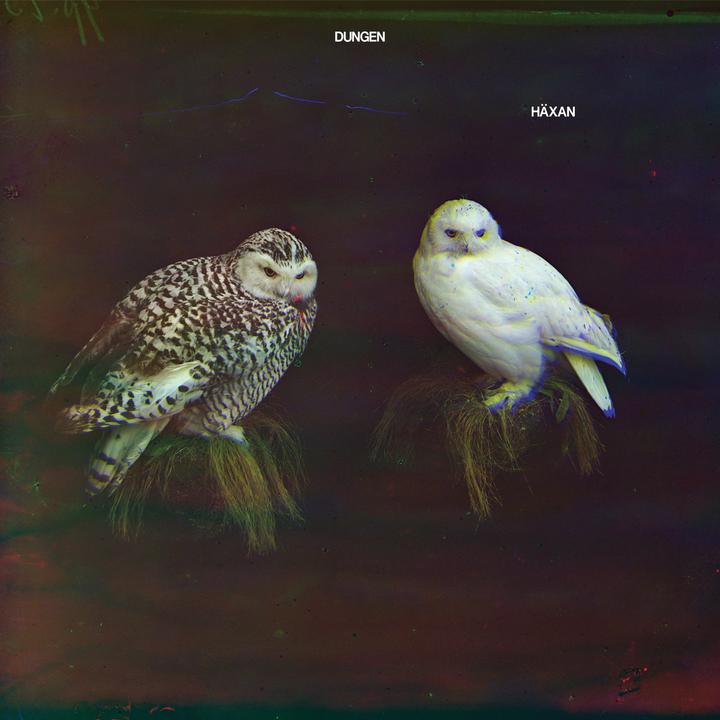 Dungen Häxan Cover WW14012017