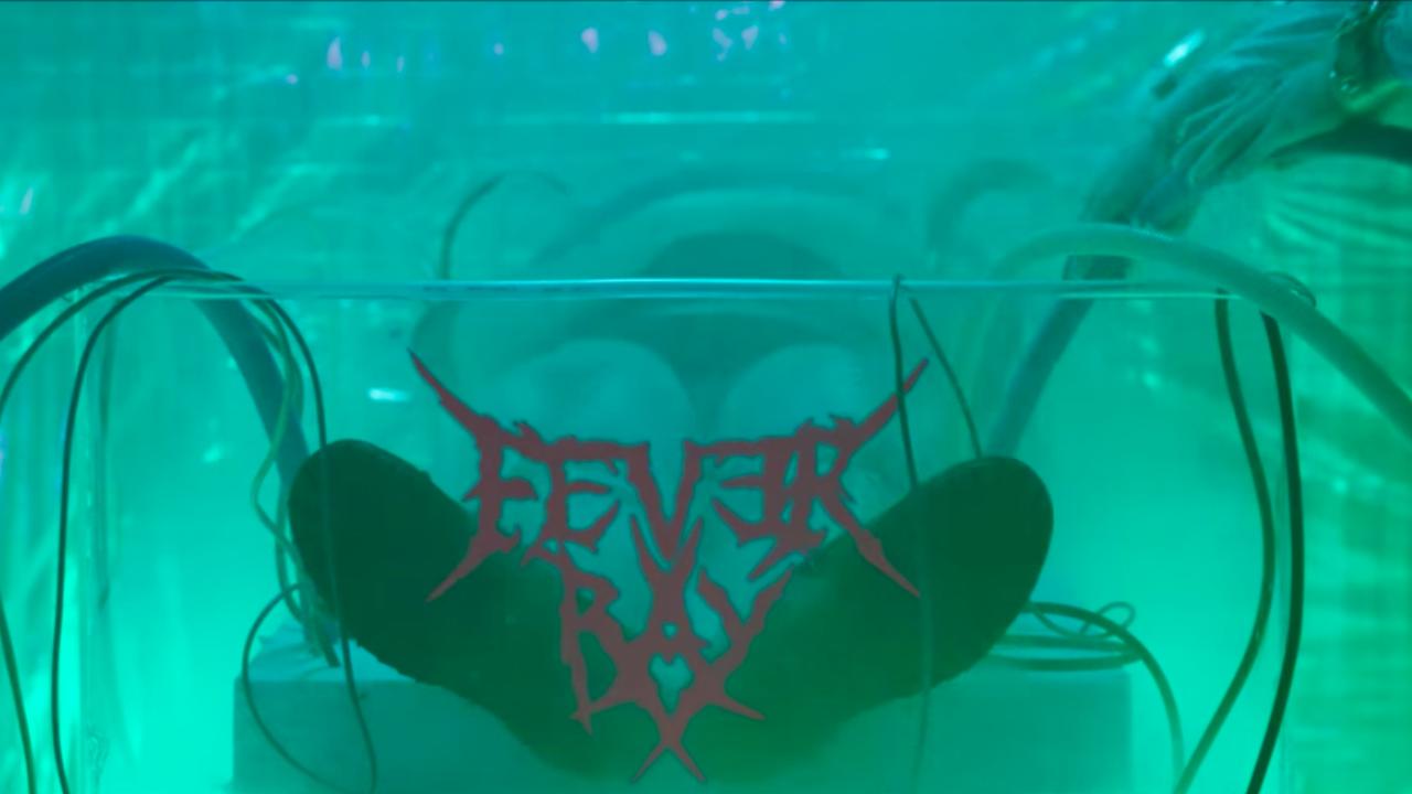Fever Ray To the Moon and Back Start