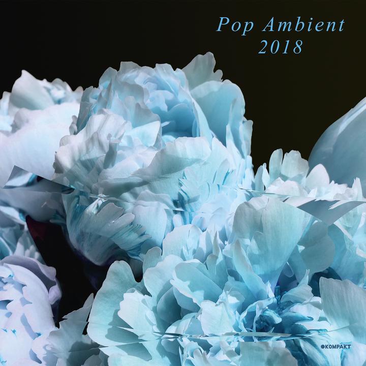 Pop Ambient 2018 Artwork