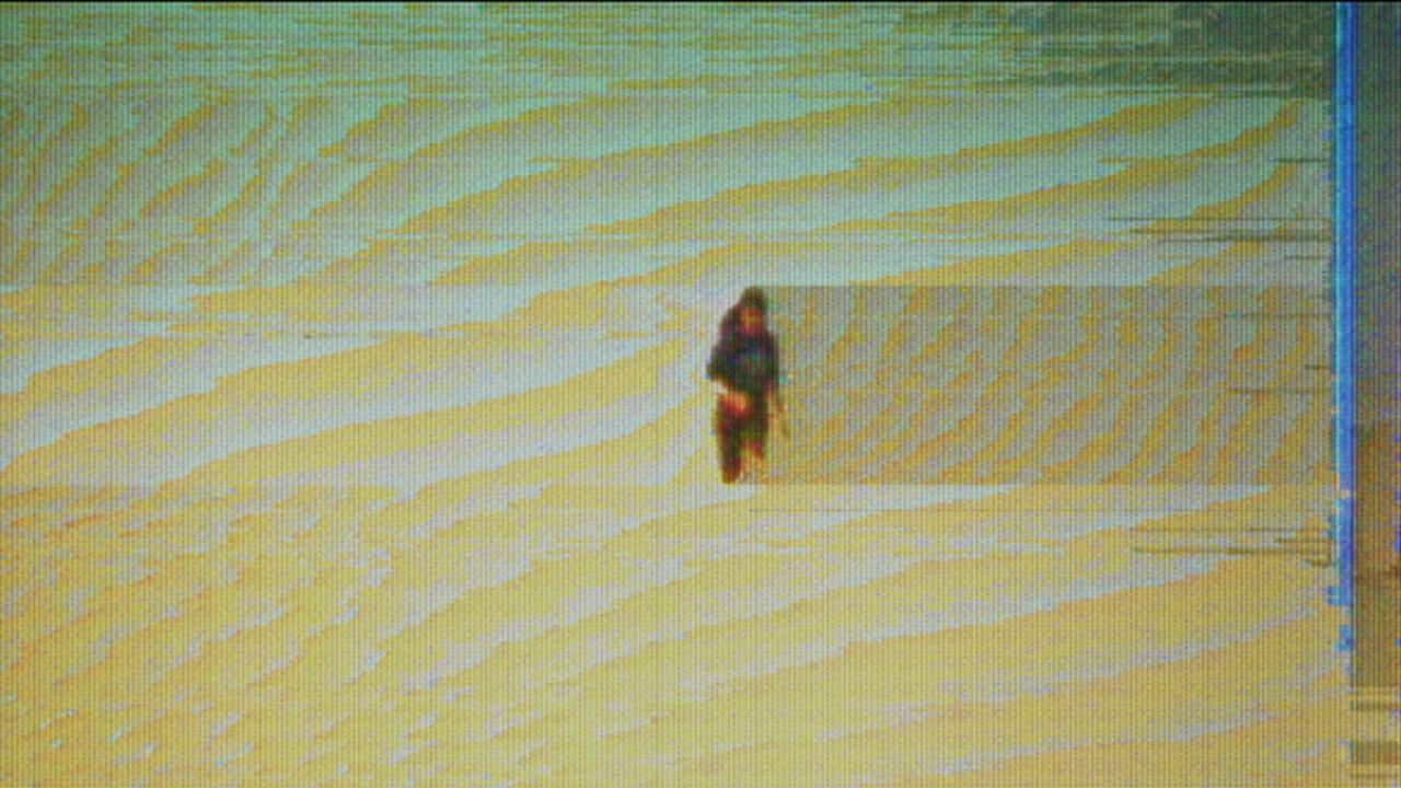 The Gentleman Loser Videopremiere lede