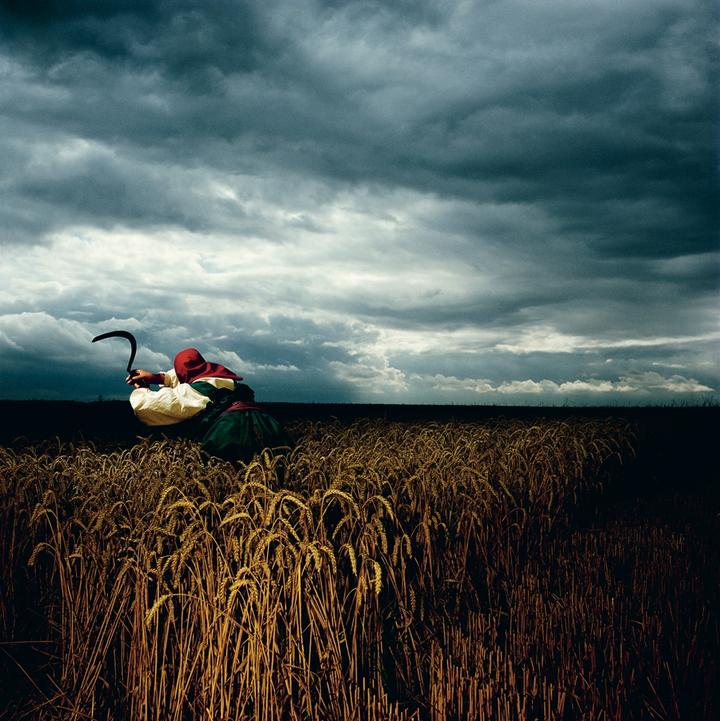 Mute Buch Depeche Mode A Broken Frame